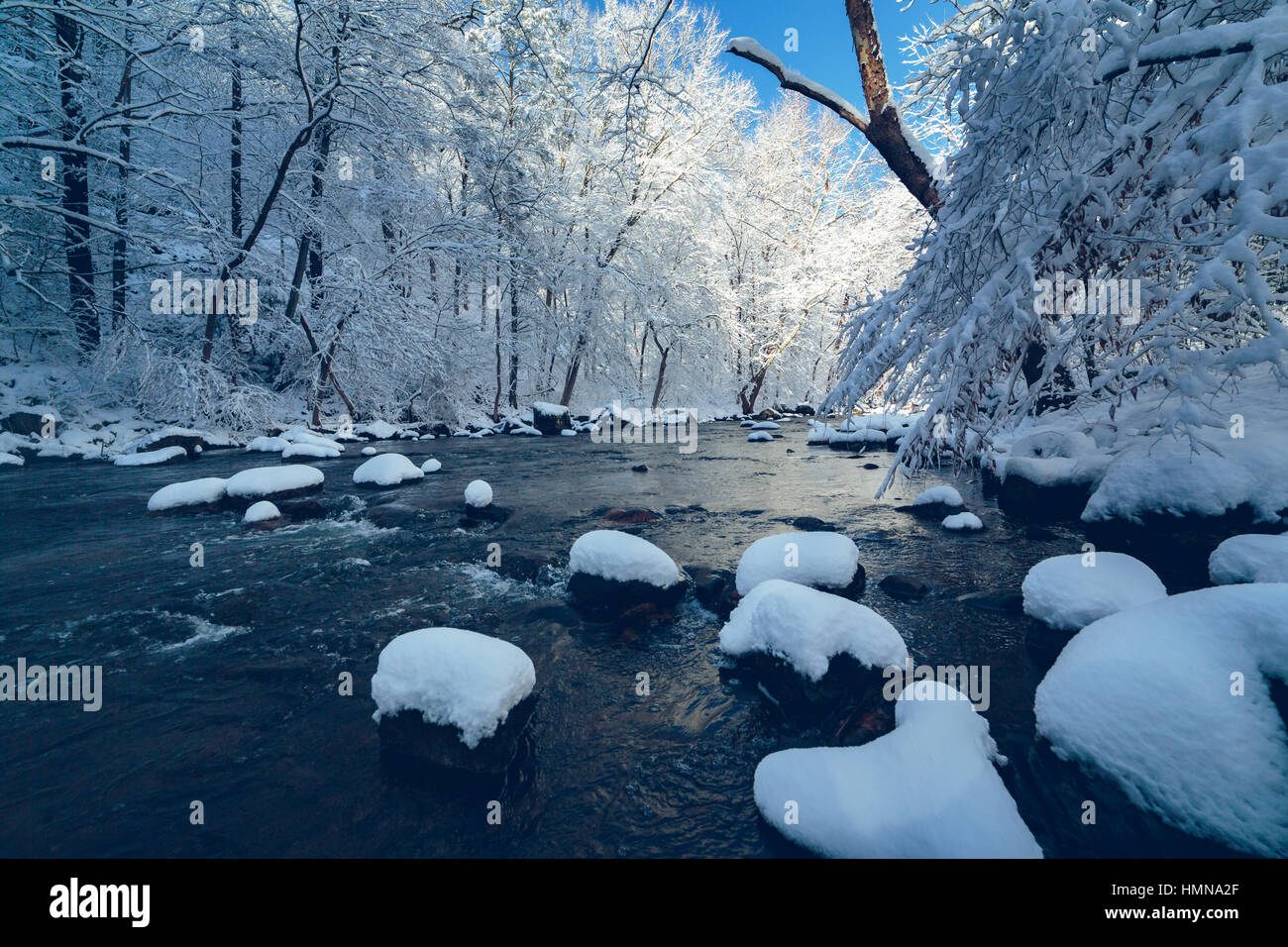 New Jersey, USA. 9th Feb, 2017. Ken Lockwood Gorge covered in snow and ice shortly after Winter Storm Niko dissipated. Credit: Jimmy Kastner/Alamy Live News Stock Photo
