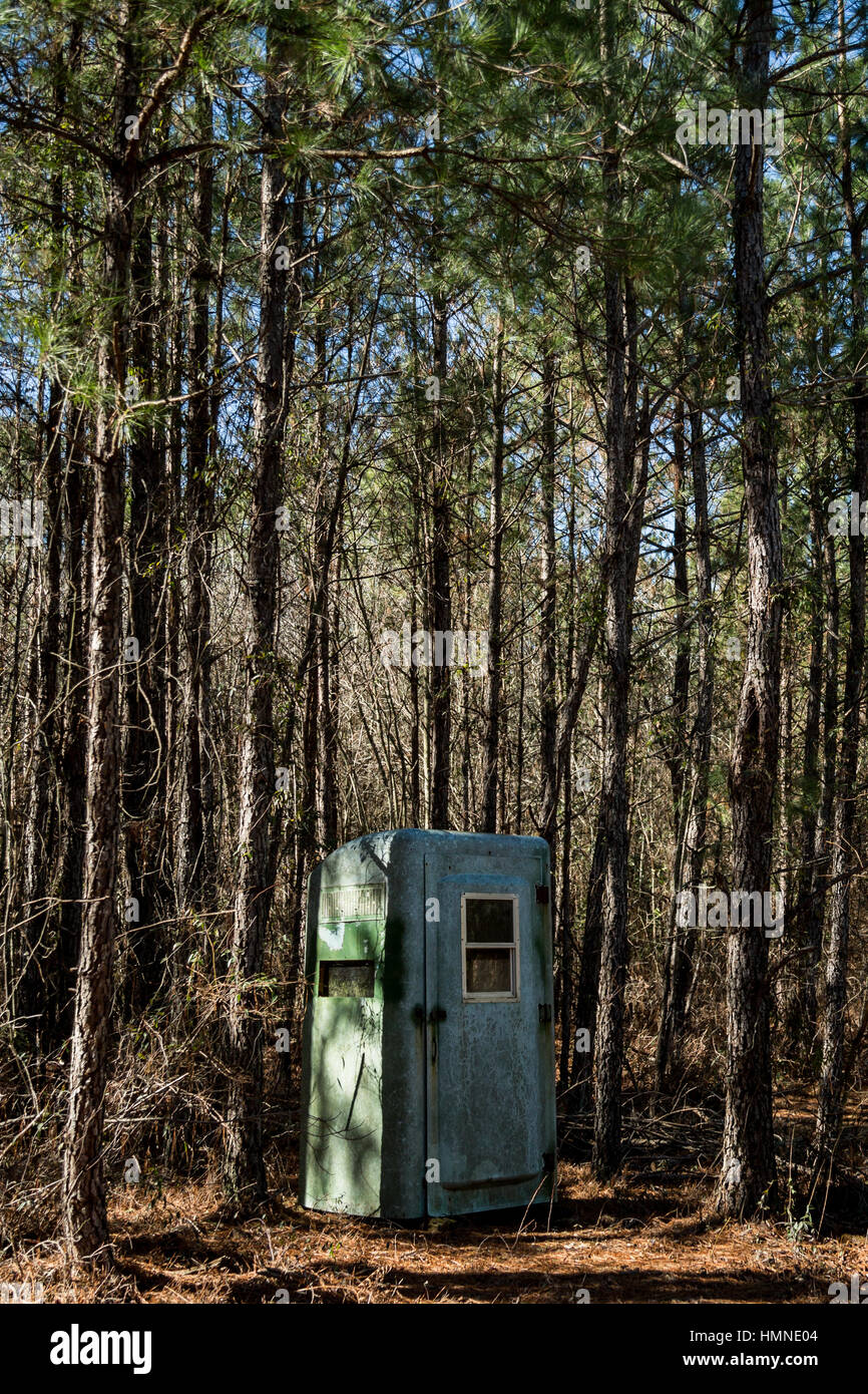 A portable bathroom converted into a hunting stand in a pine forest in Autryville, NC. Stock Photo
