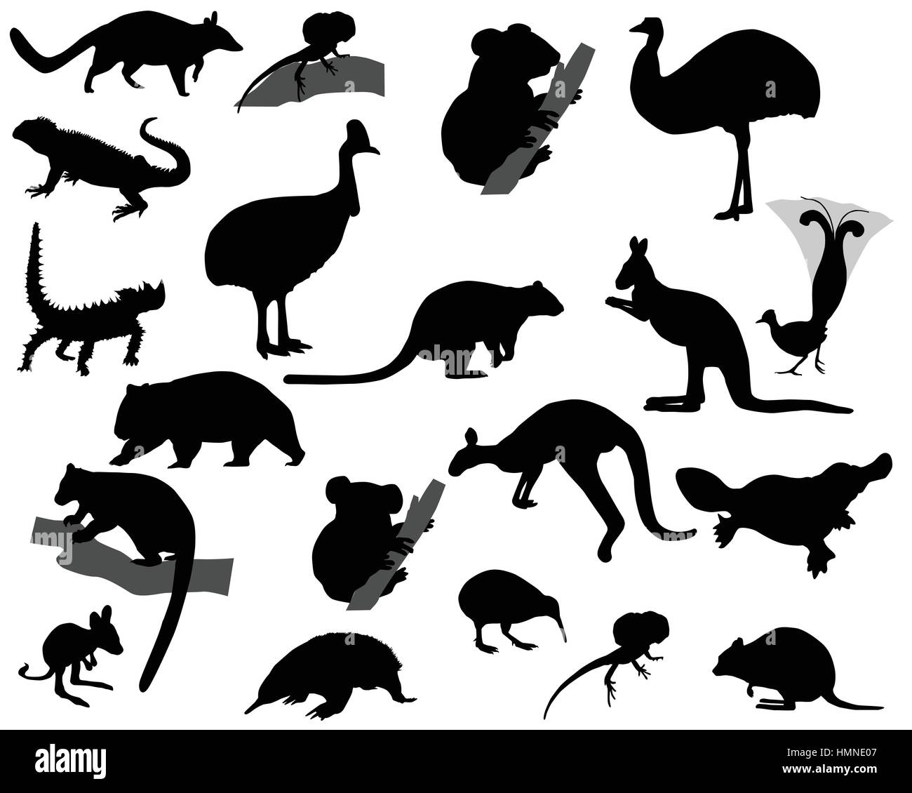 Collection of silhouettes of animals living in the territory of Australia Stock Vector