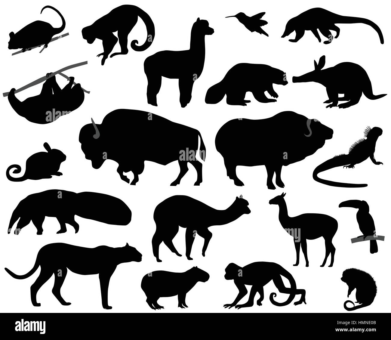 Collection of silhouettes of animals living in the territory of North and South America Stock Vector
