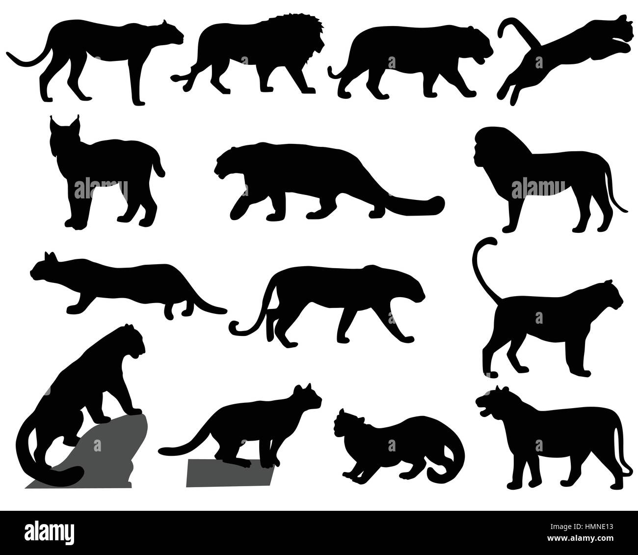 Collection of silhouettes of wild animals - the cat family Stock Vector