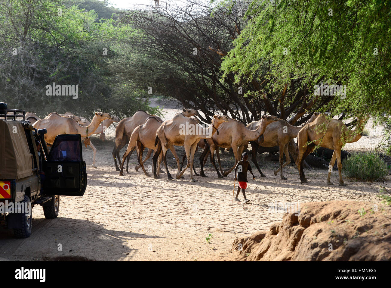 KENYA Marsabit, Samburu pastoral tribe, Samburu village Ngurunit