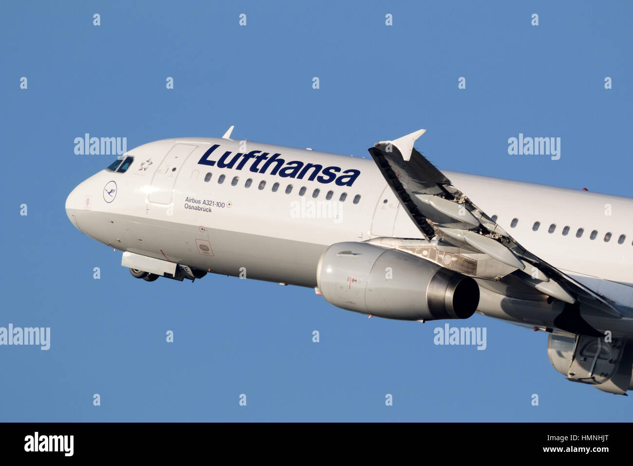 航空機・ヘリコプター LH A321 Aircrafttag Lufthansa Lufthansa A321 at Frankfurt on Sep 29th 2023, bird strike