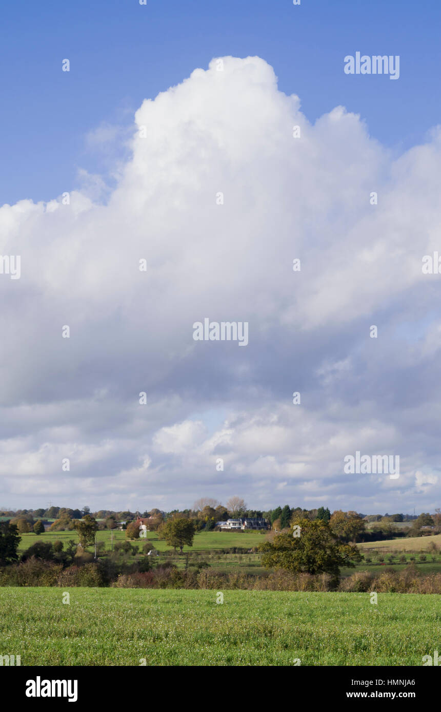 generic english farmland Stock Photo Alamy