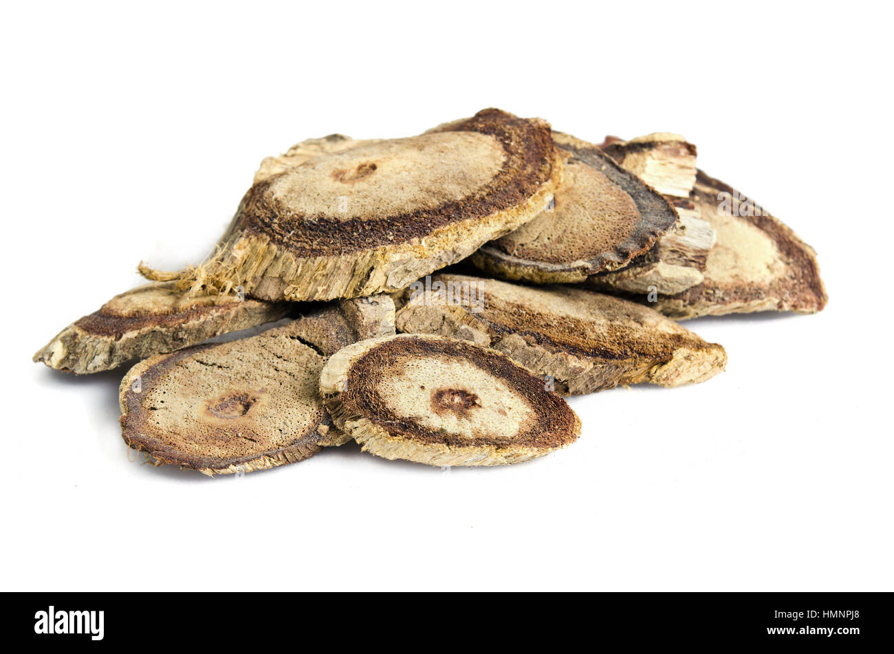 Butea superba hi-res stock photography and images - Alamy