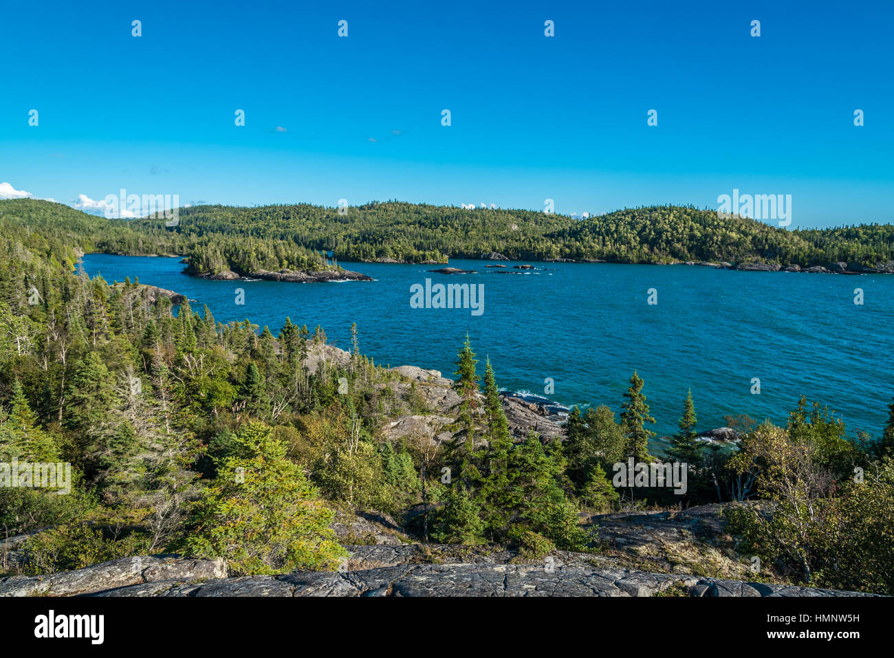 Forest lake in sunny hi-res stock photography and images - Alamy