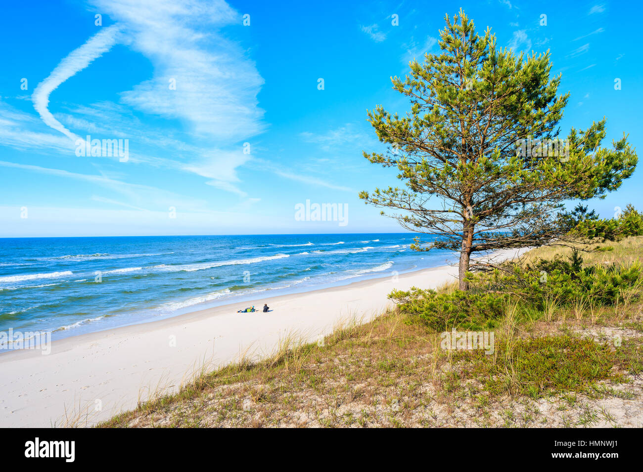 Sand dune with green tree and view of sandy Bialogora beach, Baltic Sea, Poland Stock Photo