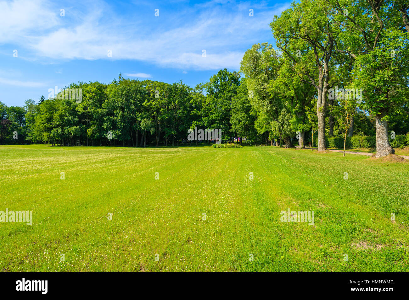 View of green park near Leba village, Pomerania region, Poland Stock Photo