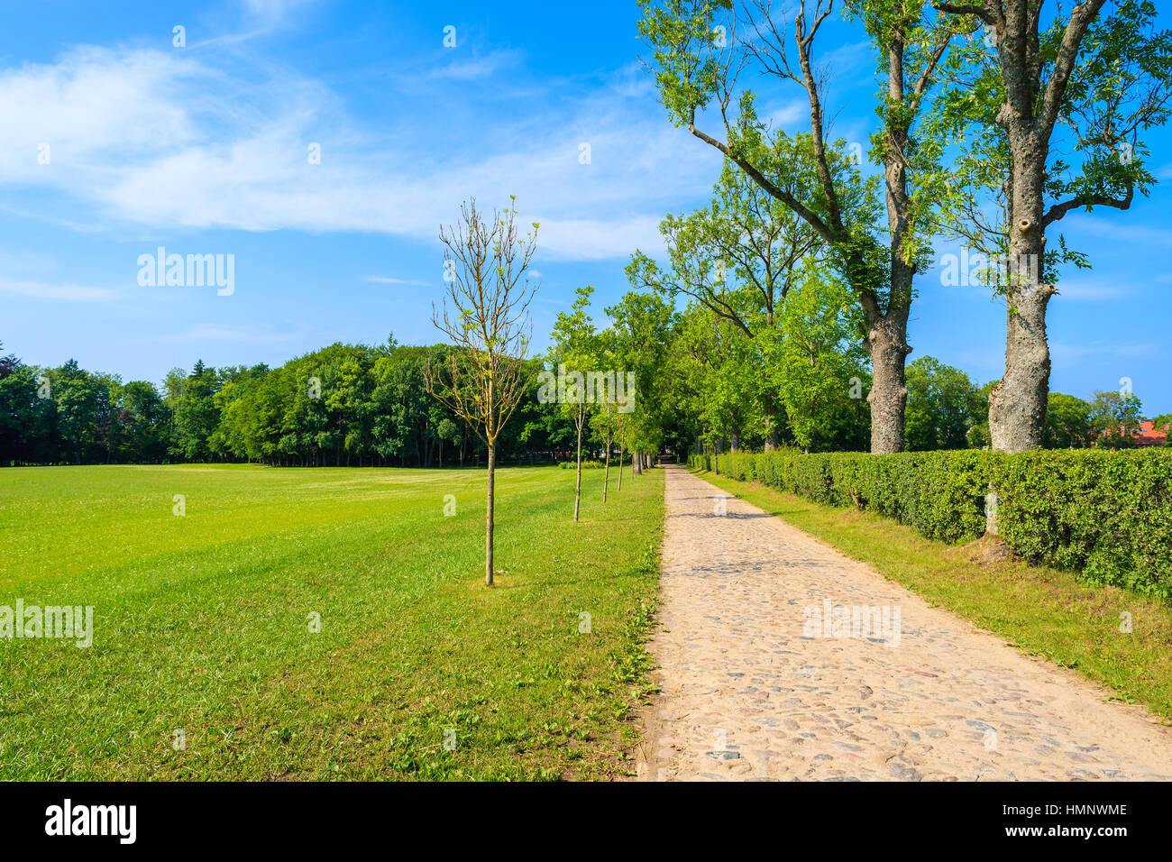Path in green park near Leba village, Pomerania region, Poland Stock Photo