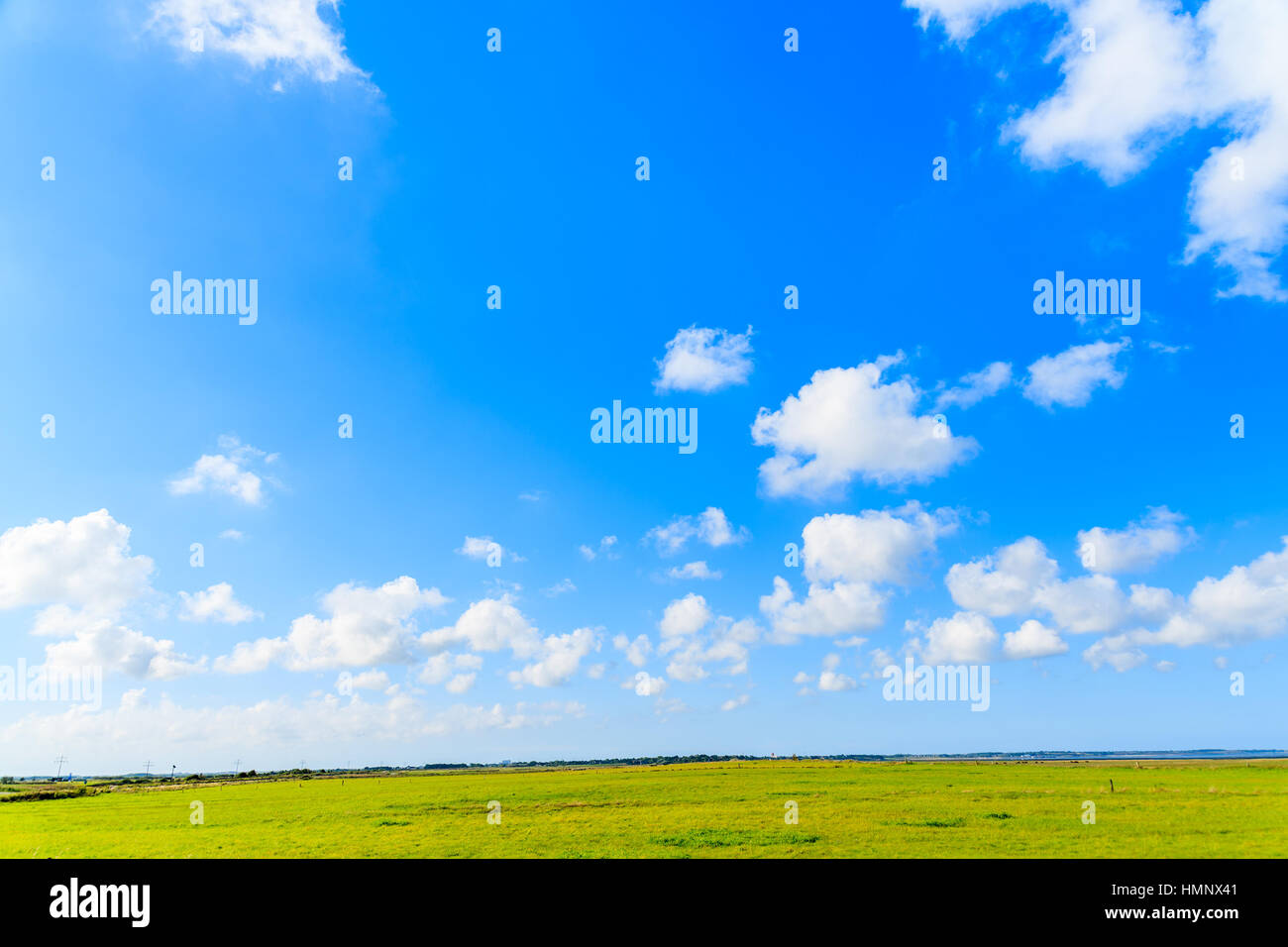 White sunny clouds on blue sky and green farming fields, Sylt island, Germany Stock Photo