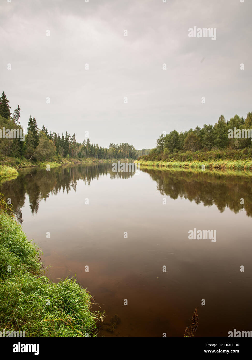 reflection of clouds in the lake with boardwalk and trees in background ...