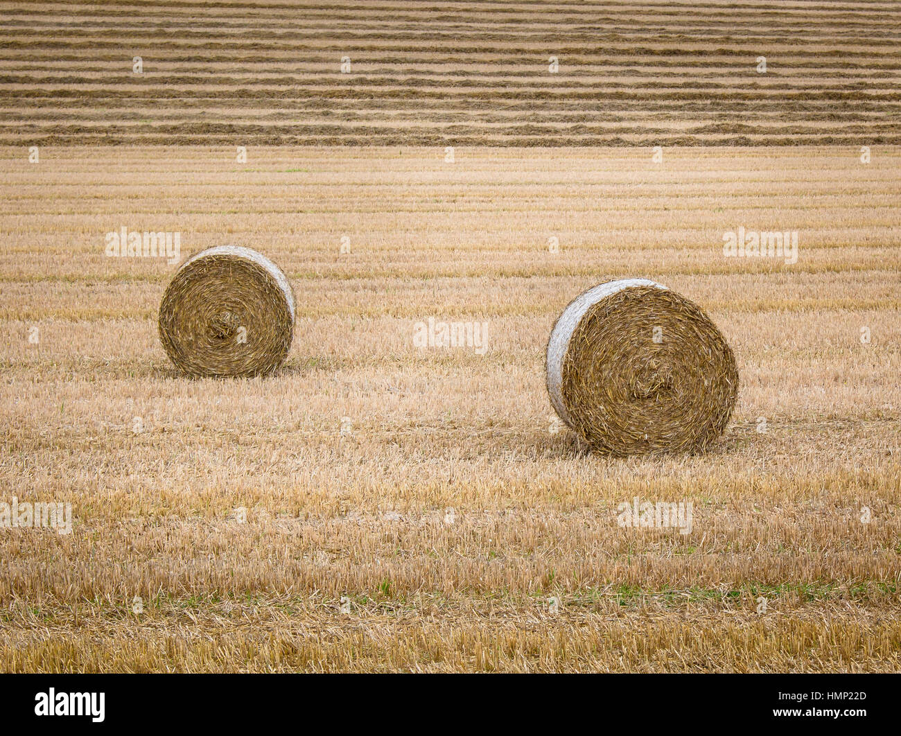Two round straw bales in field Dorset Stock Photo Alamy