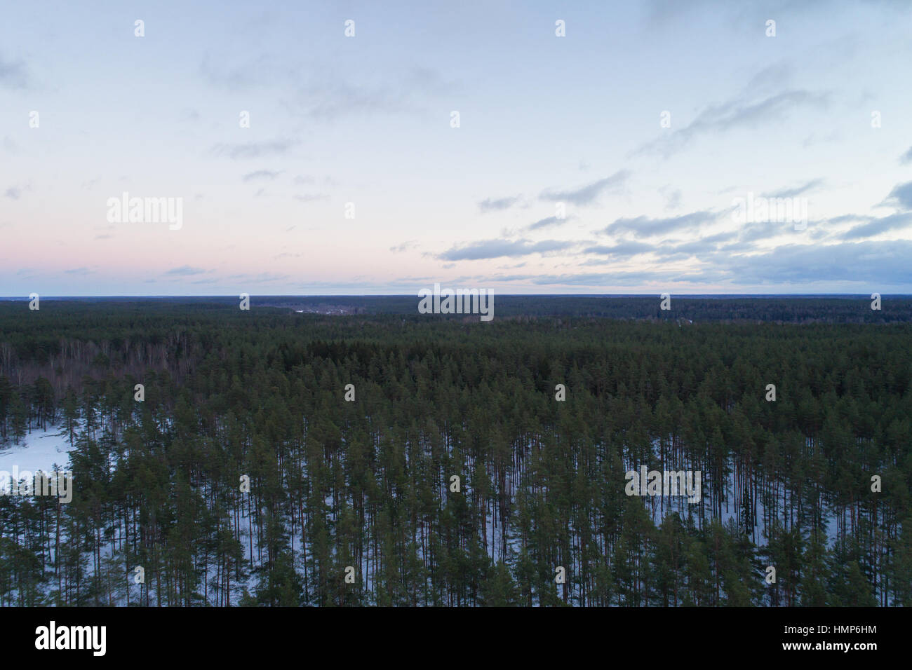 Drone aerial rise over forest hi-res stock photography and images - Alamy