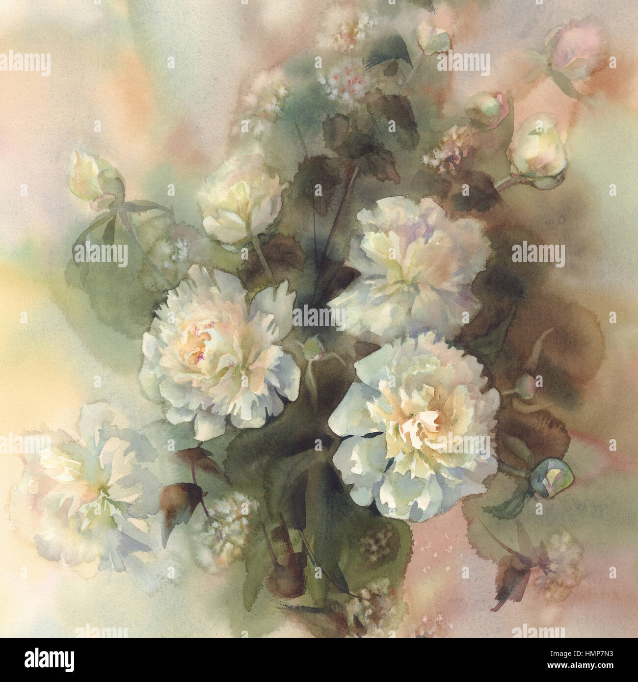bouquet of white peonies watercolor Stock Photo - Alamy