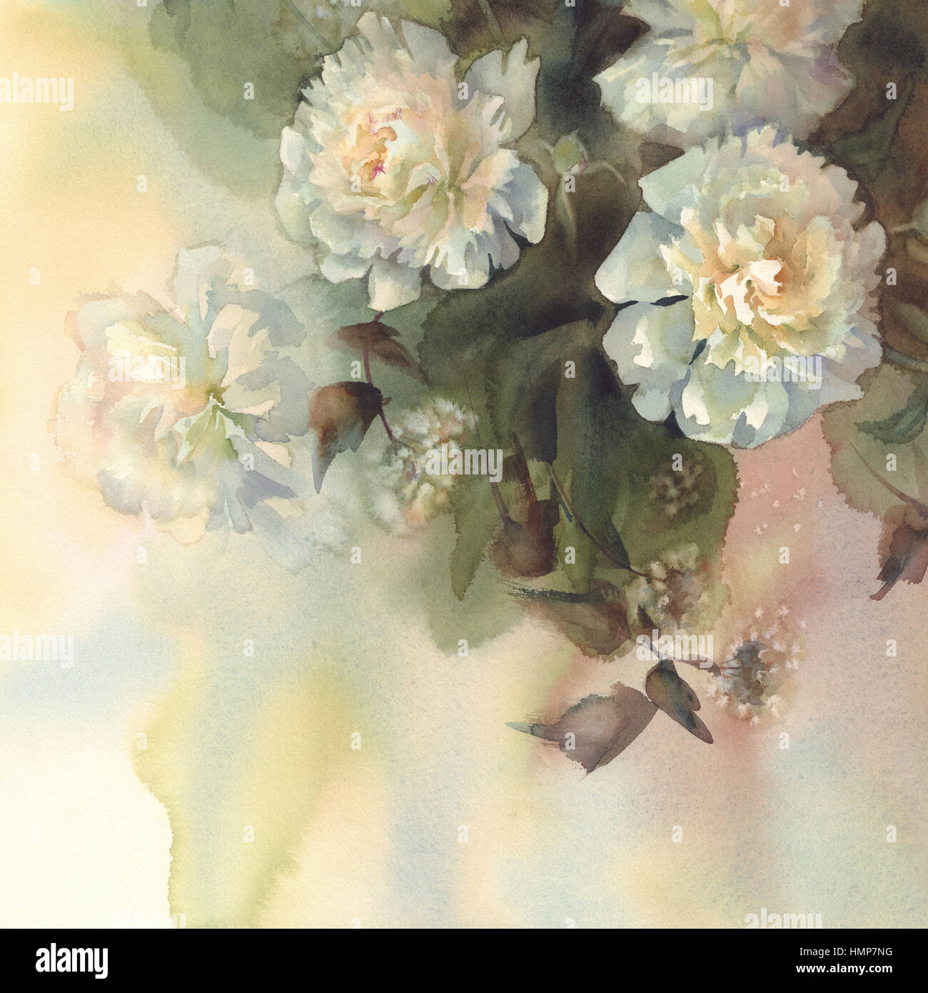 bouquet of white peonies watercolor Stock Photo - Alamy