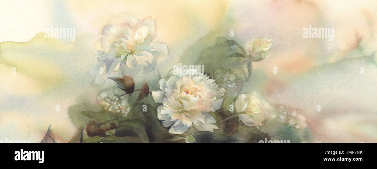 bouquet of white peonies watercolor Stock Photo - Alamy