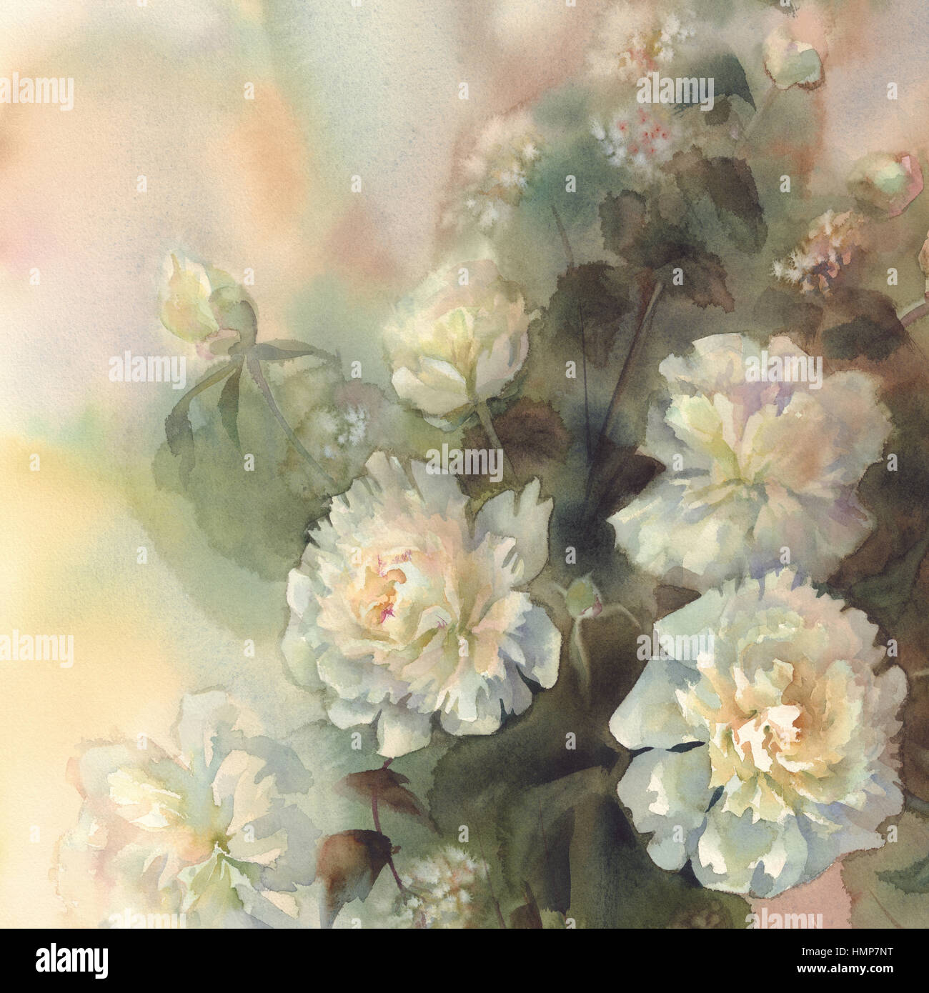 bouquet of white peonies watercolor Stock Photo - Alamy