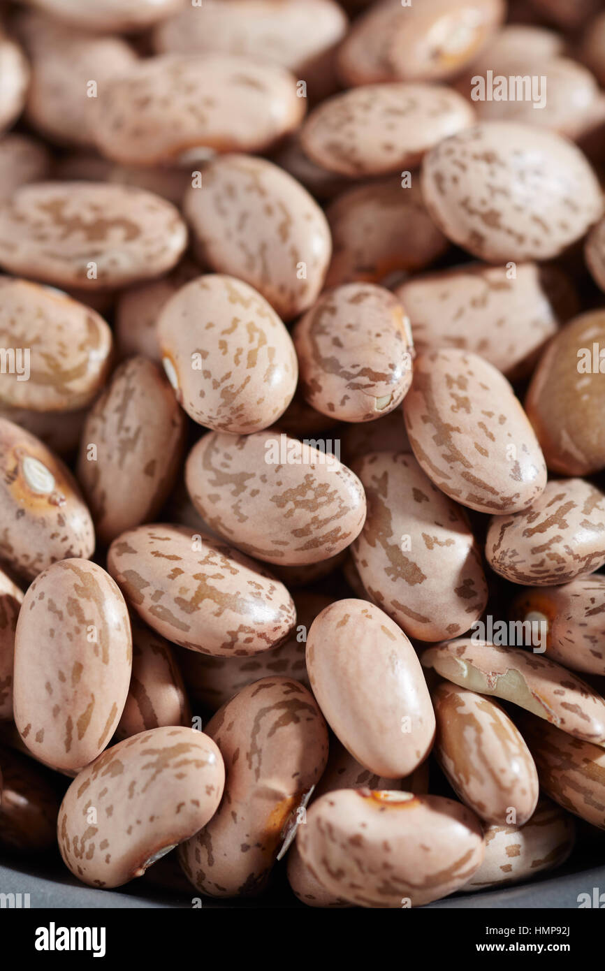 a bowl of uncooked pinto beans Stock Photo