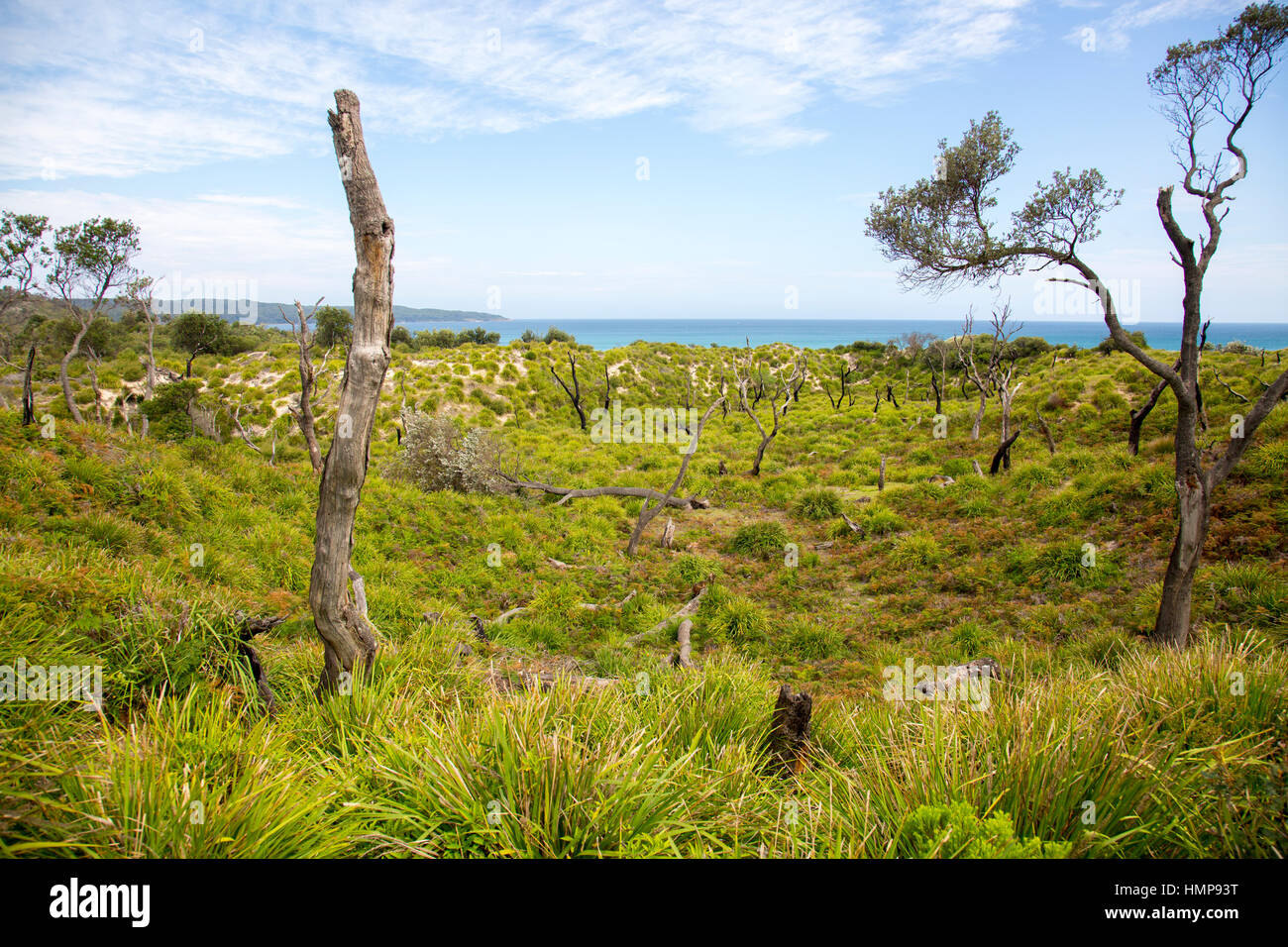 Booderee national park area around cave beach, jervis bay,australia Stock Photo