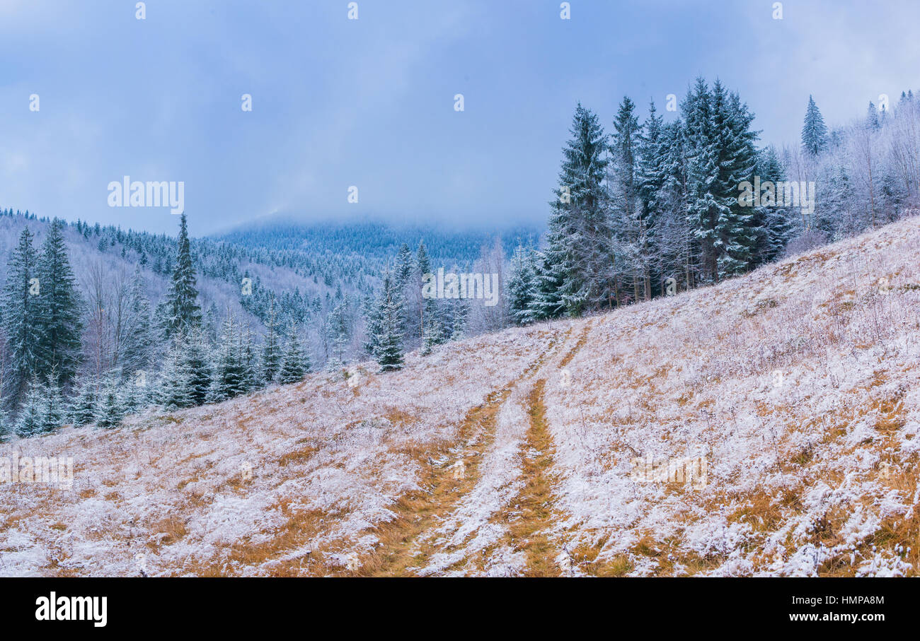 winter landscape trees in frost Stock Photo - Alamy