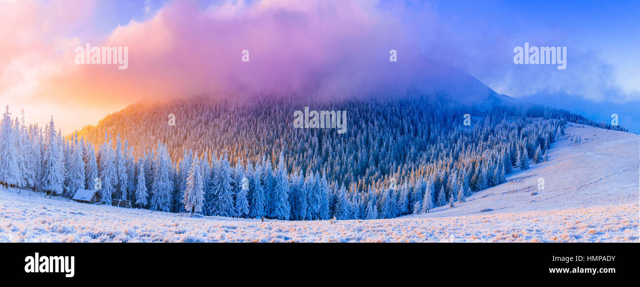 sunny winter landscape Stock Photo - Alamy