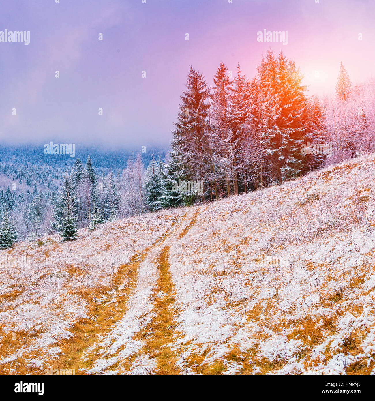 winter landscape trees in frost Stock Photo - Alamy