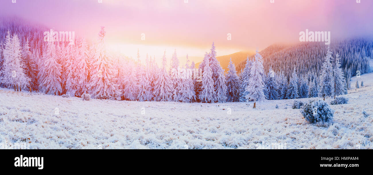 winter landscape trees in frost Stock Photo - Alamy