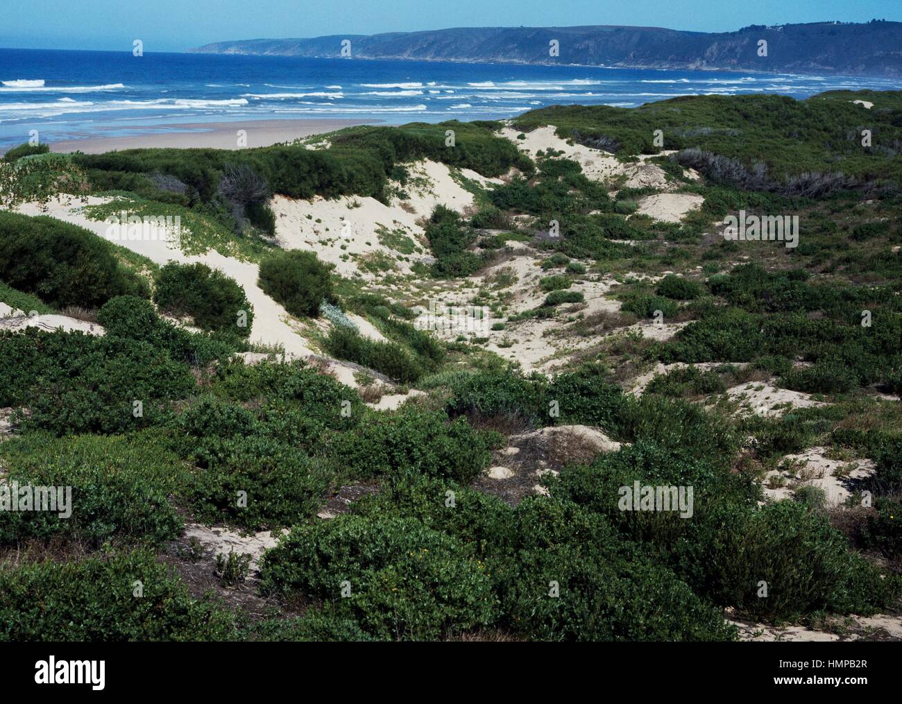 South africa wave hi-res stock photography and images - Alamy