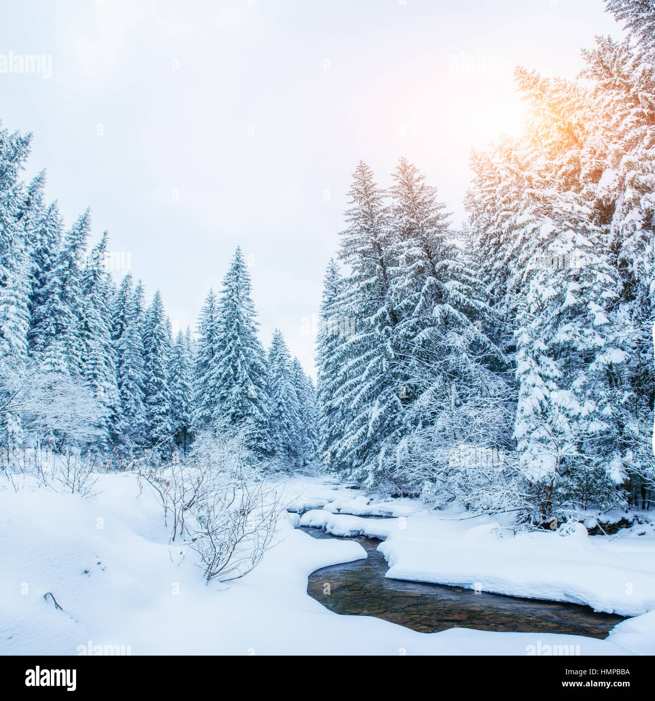 Winter forest stream flowing hi-res stock photography and images - Alamy
