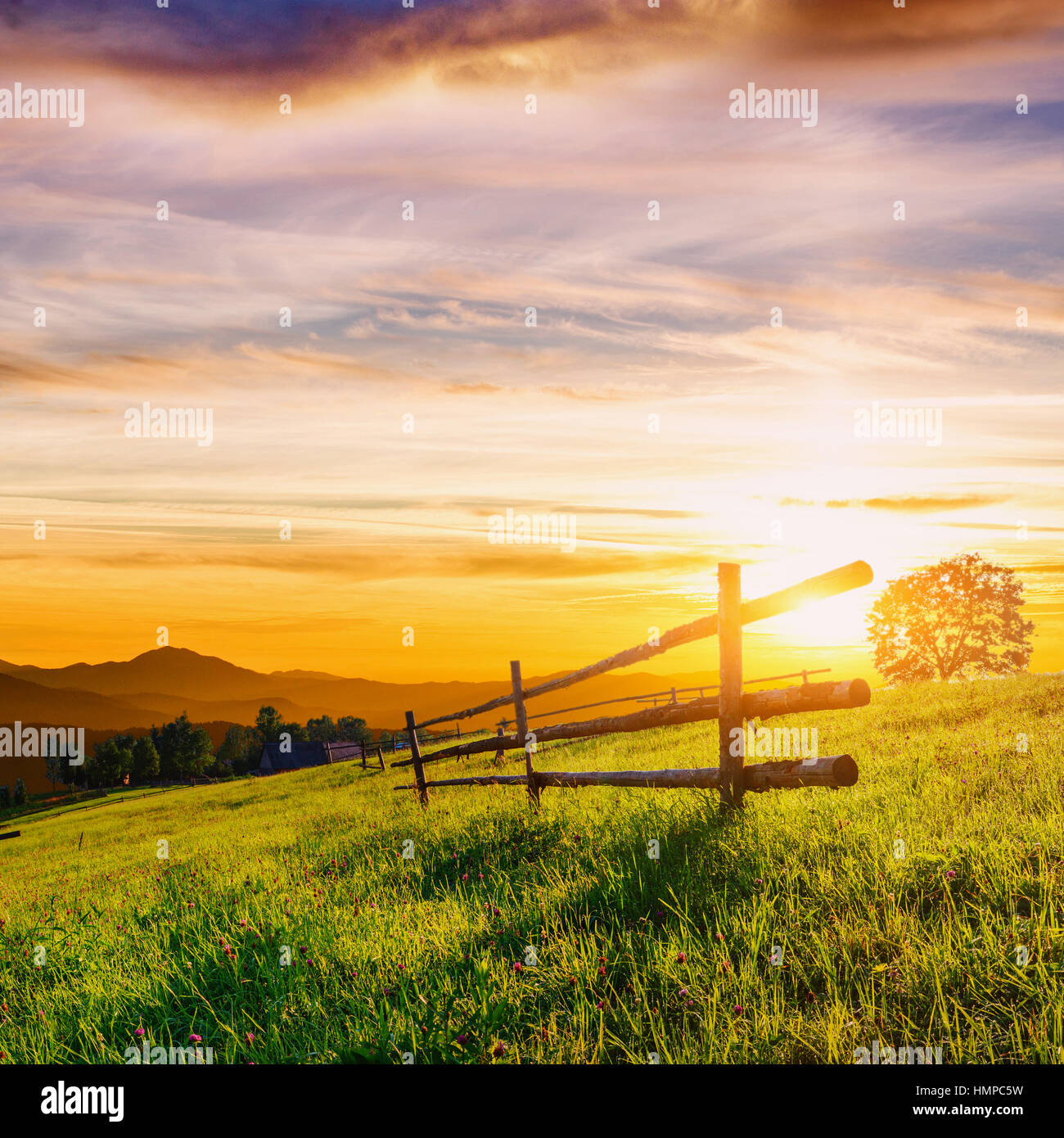 Wooden Fence - Beautiful Meadow Blanketed with Wildflowers Stock Photo