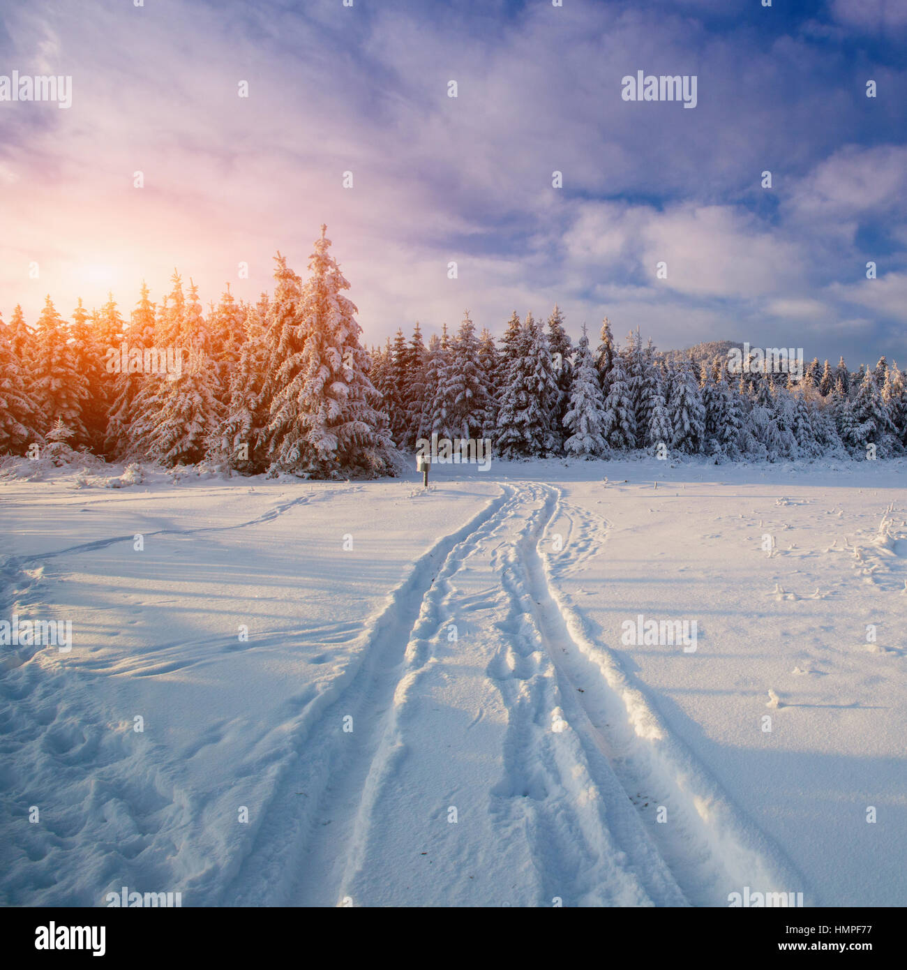 winter landscape trees in frost Stock Photo - Alamy