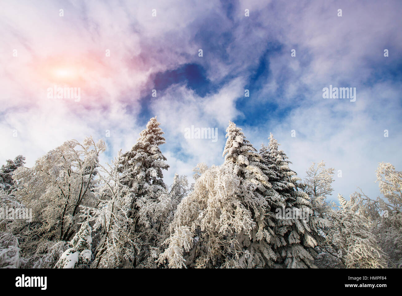 winter landscape trees in frost Stock Photo - Alamy