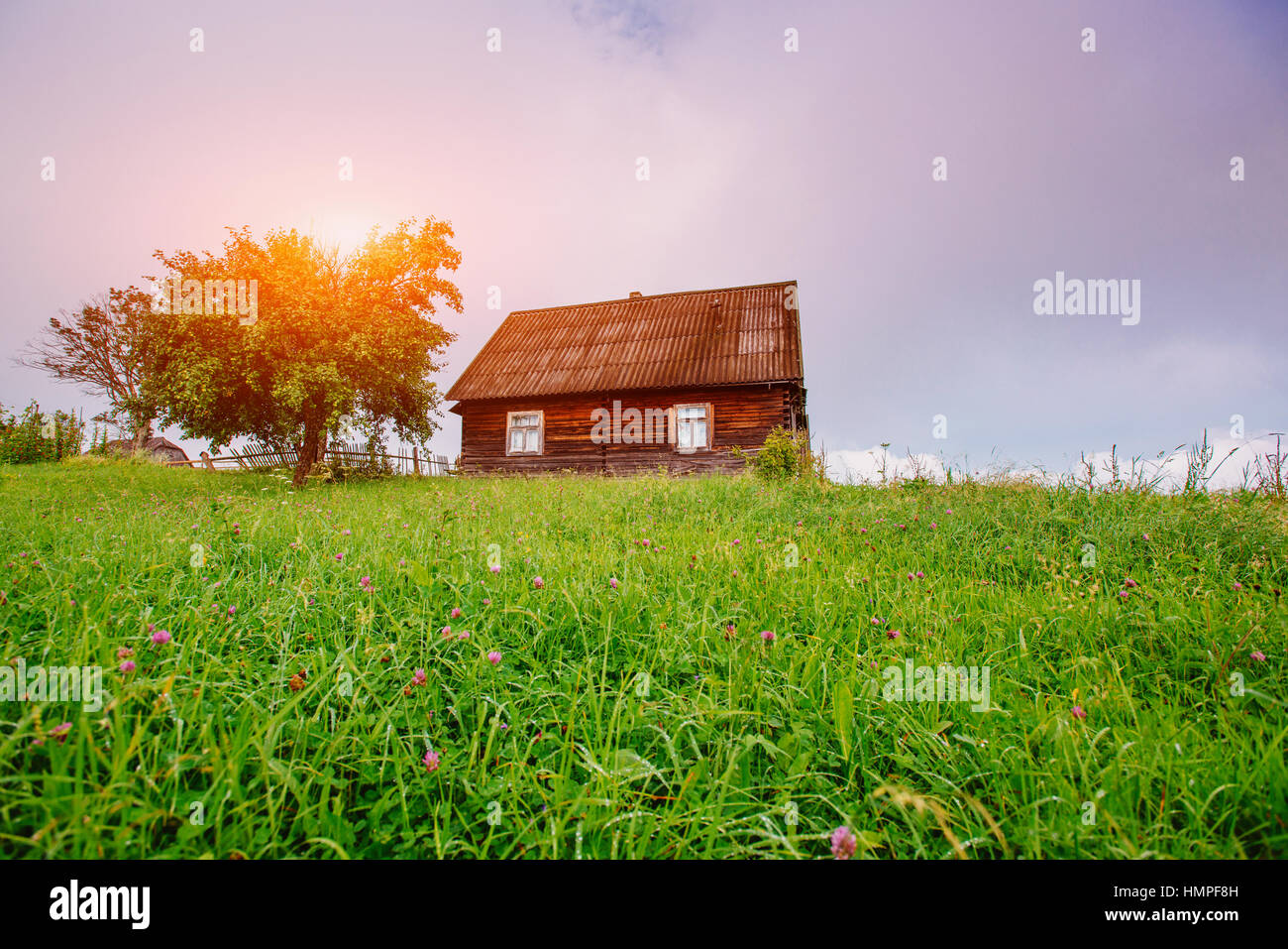 landscape with colorful tree and house Stock Photo - Alamy