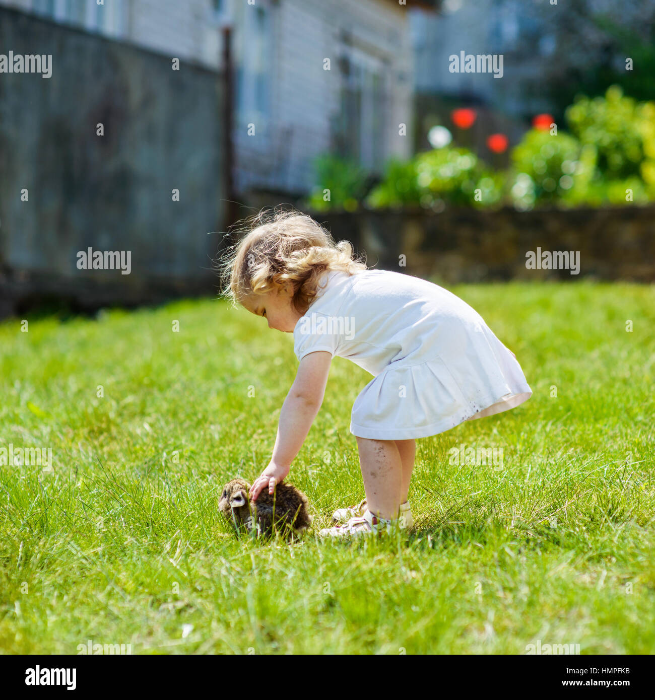 child with a rabbit Stock Photo