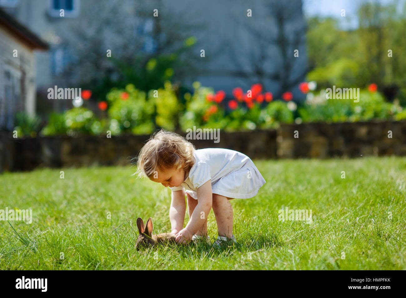 child with a rabbit Stock Photo