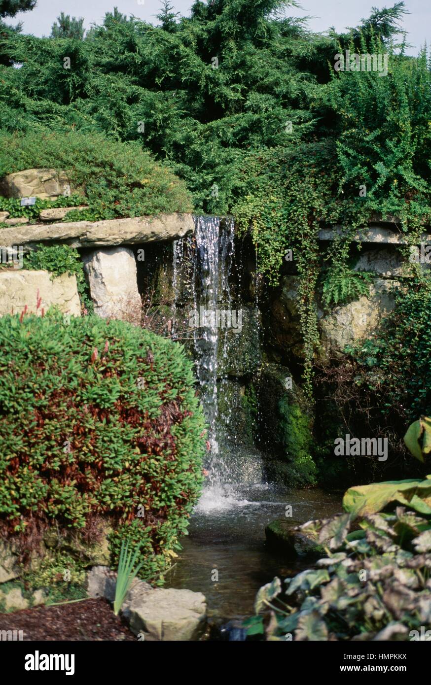 Glimpse of a garden with an artificial pond with a little waterfall. Stock Photo