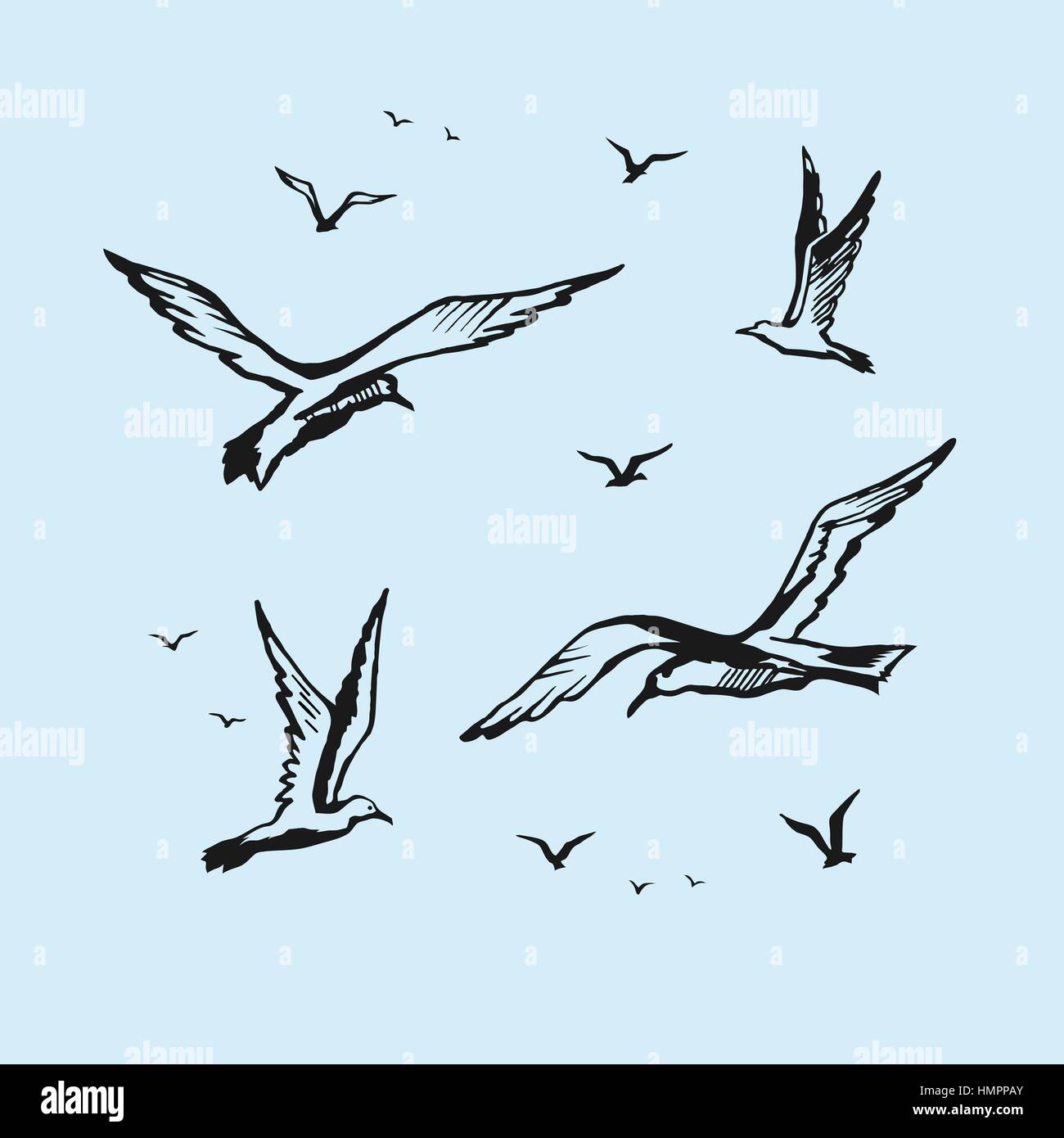 How To Draw A Bird In The Sky At John Cole Blog