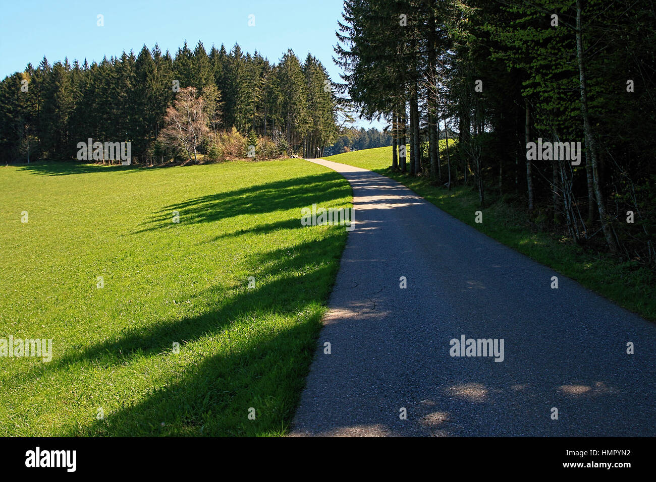beautiful landscape in the Black Forest in Germany Stock Photo - Alamy