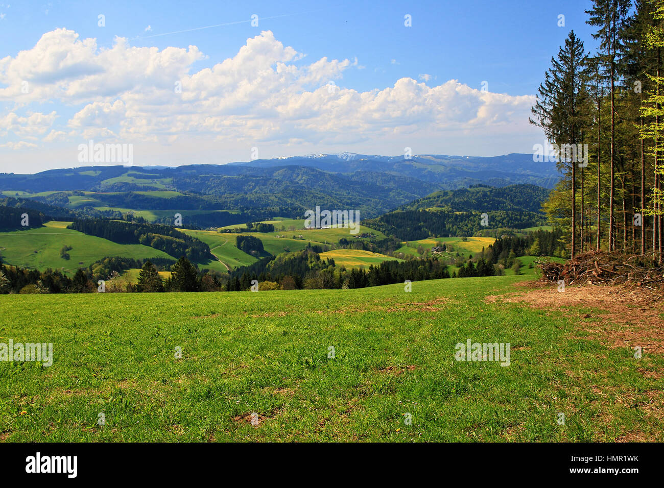 beautiful landscape in the Black Forest in Germany Stock Photo - Alamy