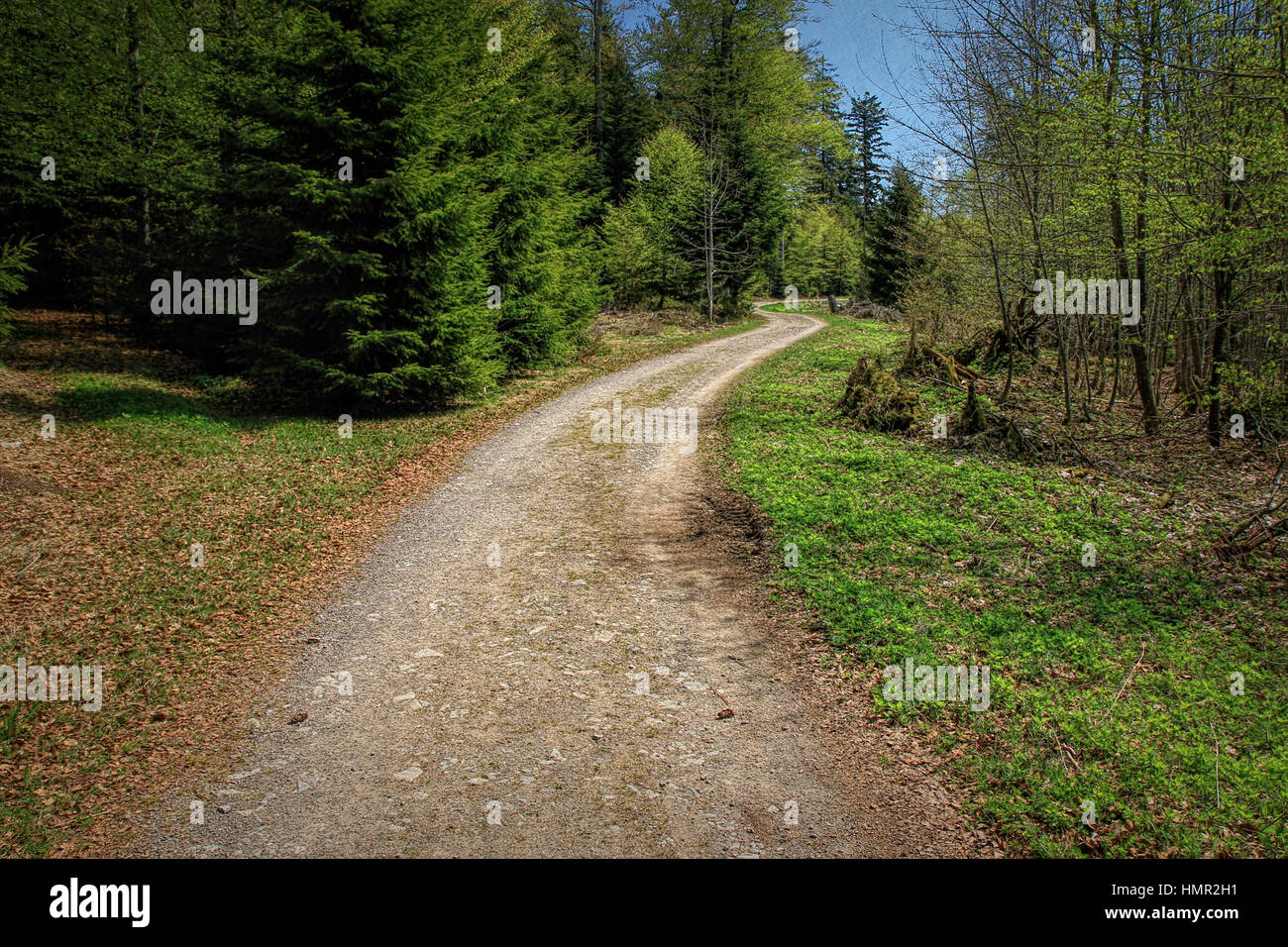 beautiful landscape in the Black Forest in Germany Stock Photo - Alamy