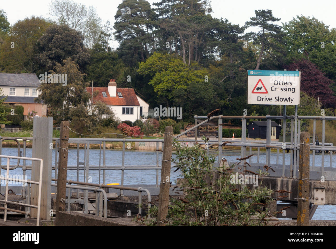 Sign warning of otters (Lutra lutra) crossing the road. Lymington, Hampshire. UK Stock Photo