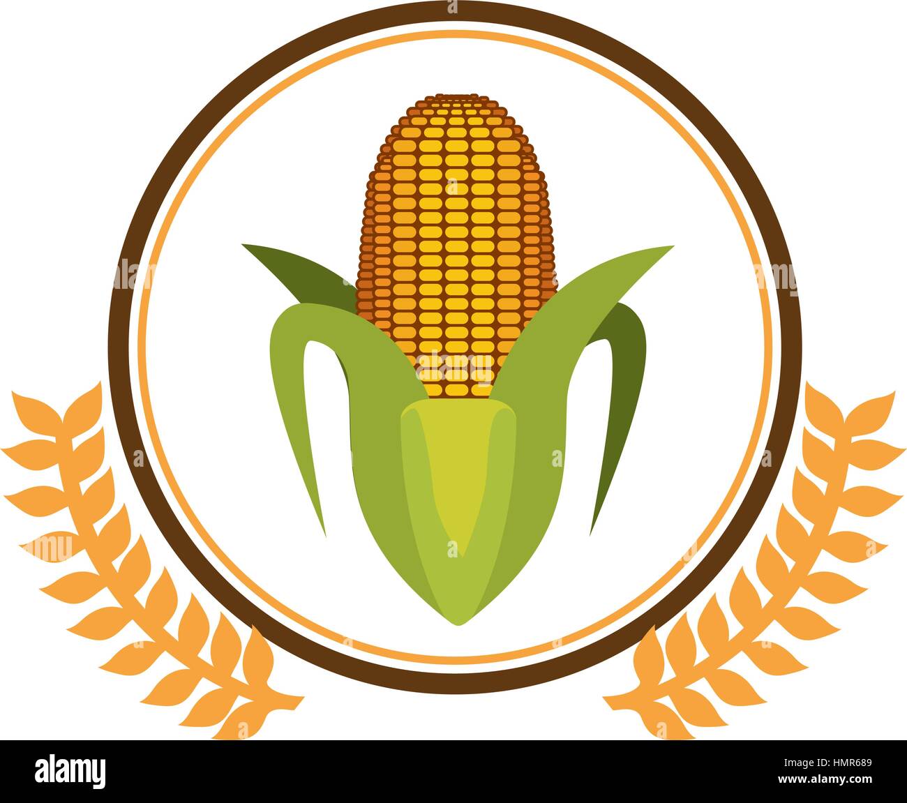 Fresh corn vegetable Stock Vector Image & Art - Alamy