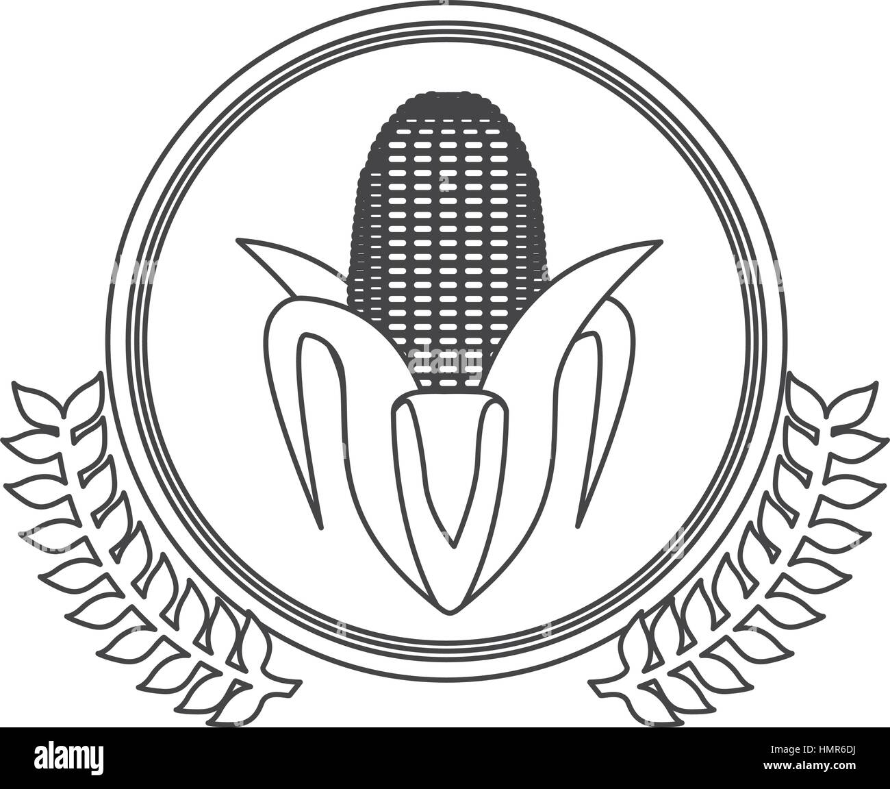 Fresh corn vegetable Stock Vector Image & Art - Alamy