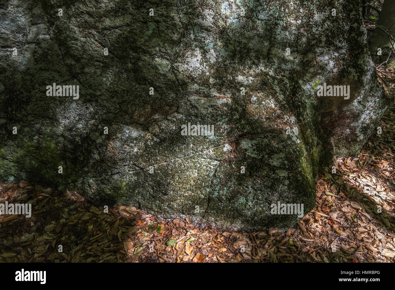 Fine art tree landscapes hi-res stock photography and images - Alamy