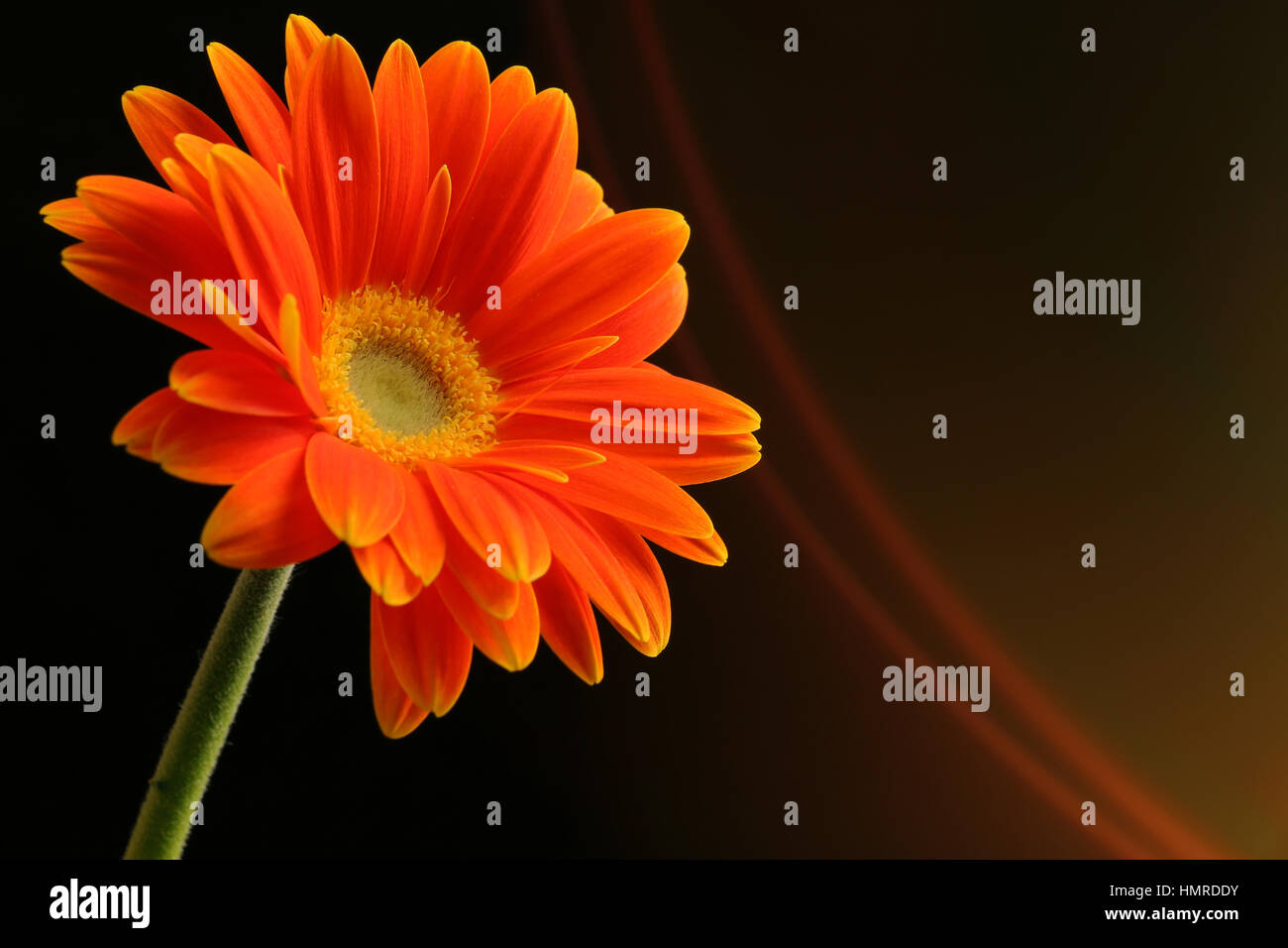 Abstract background orange black color hi-res stock photography and ...