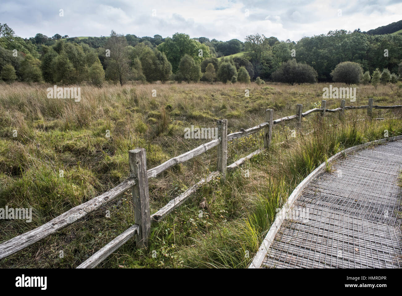 Boardwalk and landscape at Cars Caron National Nature Reserve, Tregaron, Wales Stock Photo