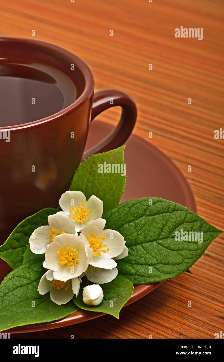 Teacup dish flower hires stock photography and images Alamy
