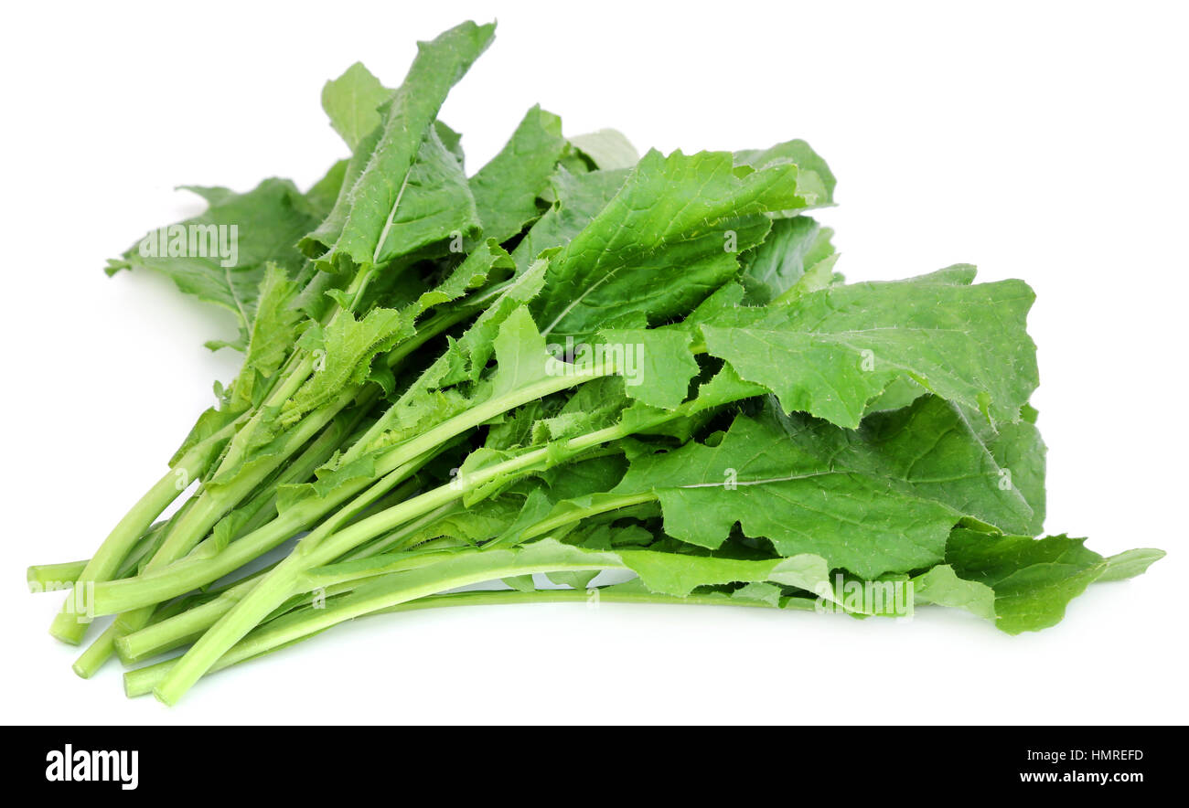 Edible mustard leaves as vegetable over white background Stock Photo 133282001 Alamy