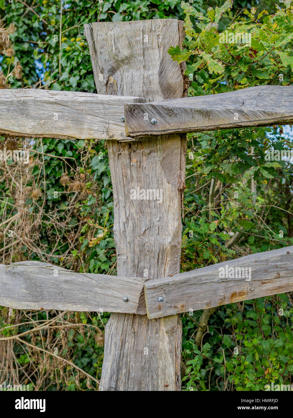 generic english farmland Stock Photo Alamy