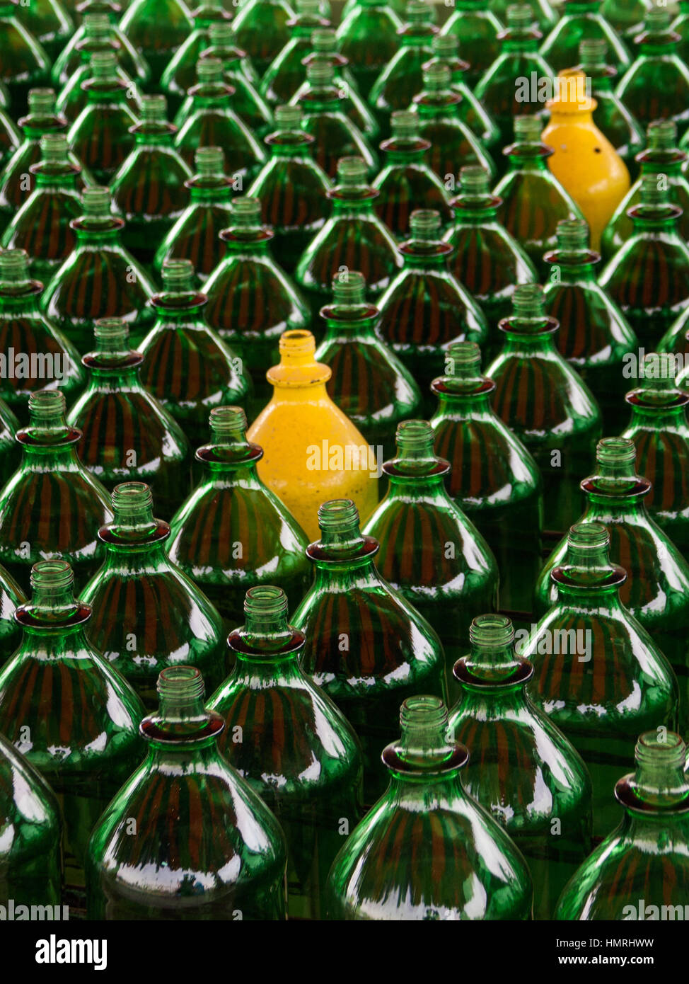 Download Many Green Bottles And Only Two Yellow Painted Ones Stock Photo Alamy Yellowimages Mockups